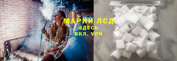 стафф Надым