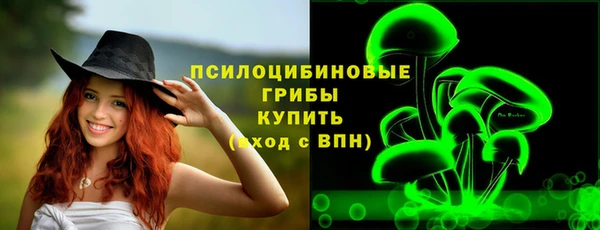 стафф Надым