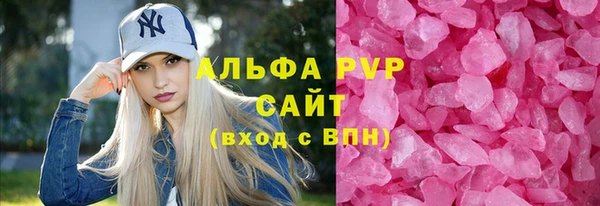 стафф Надым