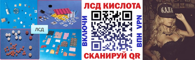 где можно купить наркотик  Почеп  ЛСД экстази кислота 